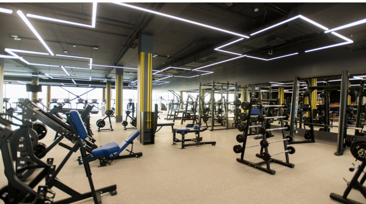 Free weights gym bacteria
